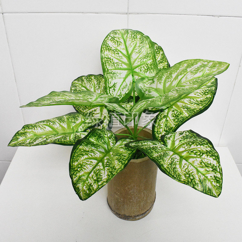 接花方法:园艺爱好者的实用指南